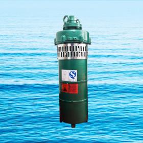 QS小型潛水電泵、QST660V特種電泵